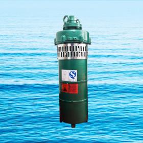 QS小型潛水電泵、QST660V特種電泵